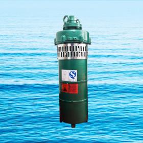 QS小型潛水電泵、QST660V特種電泵